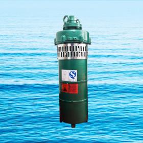 QS小型潛水電泵、QST660V特種電泵